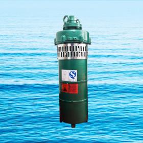 QS小型潛水電泵、QST660V特種電泵